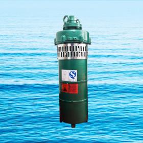 QS小型潛水電泵、QST660V特種電泵